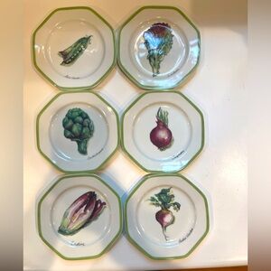 Williams Sonoma Vegetable Garden